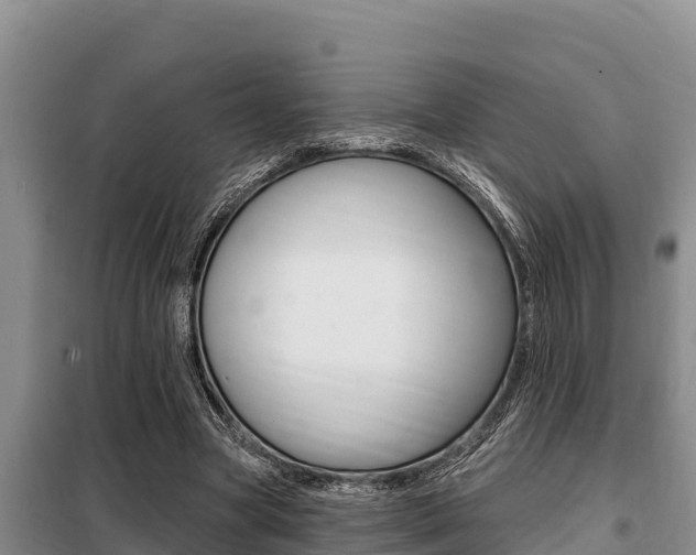X0000099420537200805090753