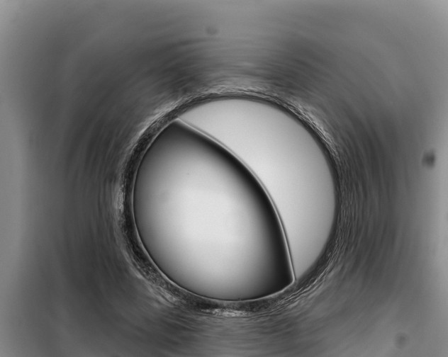 X0000099420539200805090753
