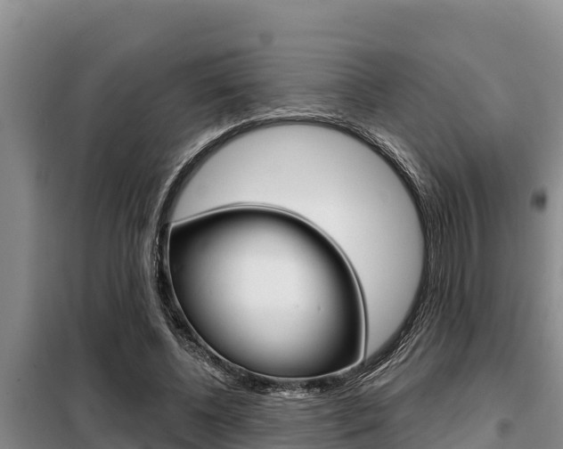 X0000099420540200805090753
