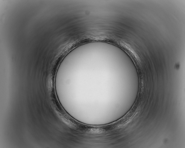 X0000099420541200805090753