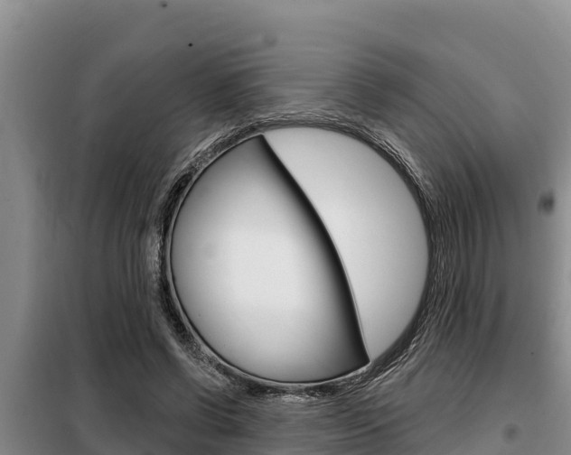 X0000099420542200805090753