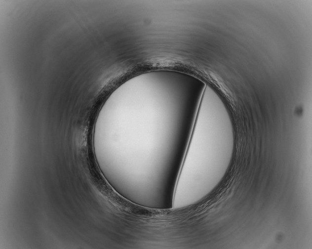 X0000099420543200805090753
