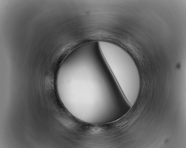 X0000099420547200805090753
