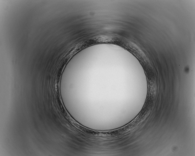 X0000099420549200805090753