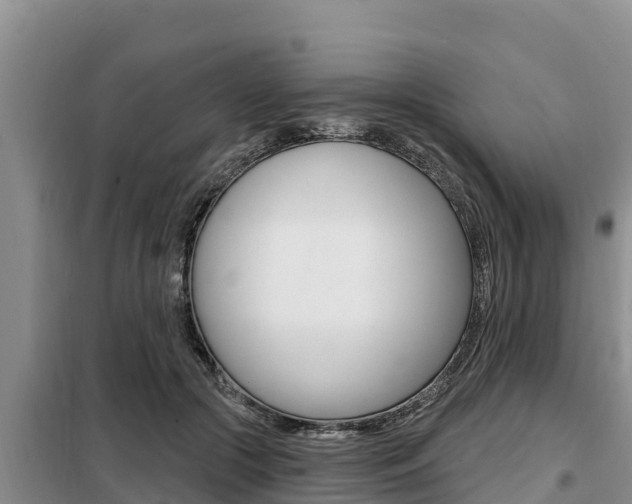 X0000099420553200805090753