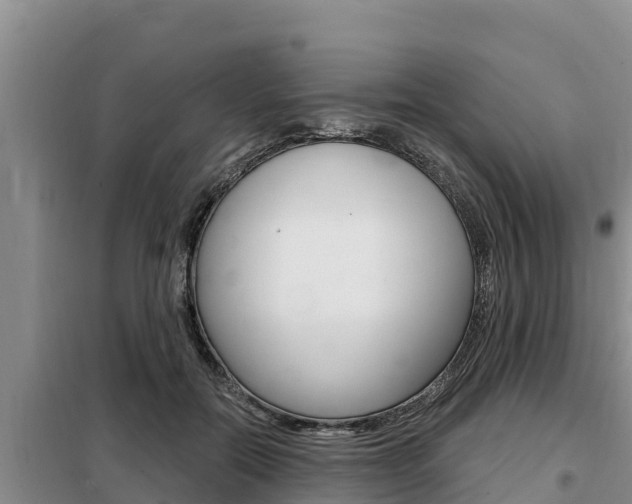 X0000099420554200805090753