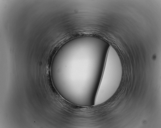 X0000099420555200805090753