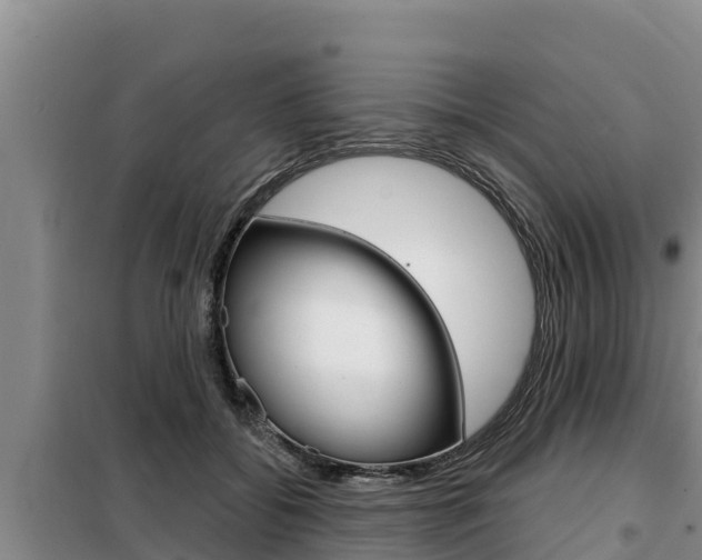 X0000099420556200805090753