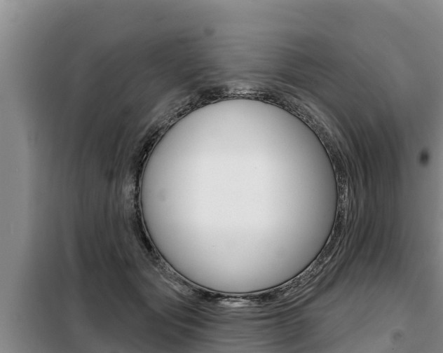 X0000099420557200805090753