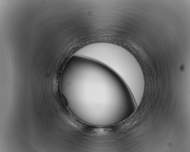 X0000099420558200805090753
