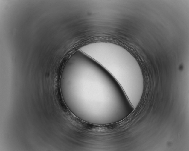 X0000099420559200805090753
