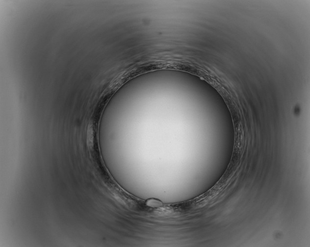 X0000099420562200805090753