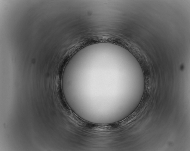 X0000099420563200805090753