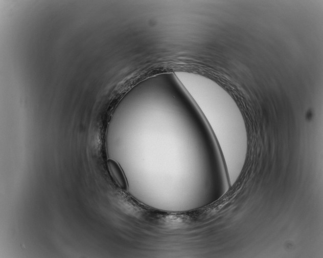 X0000099420566200805090754