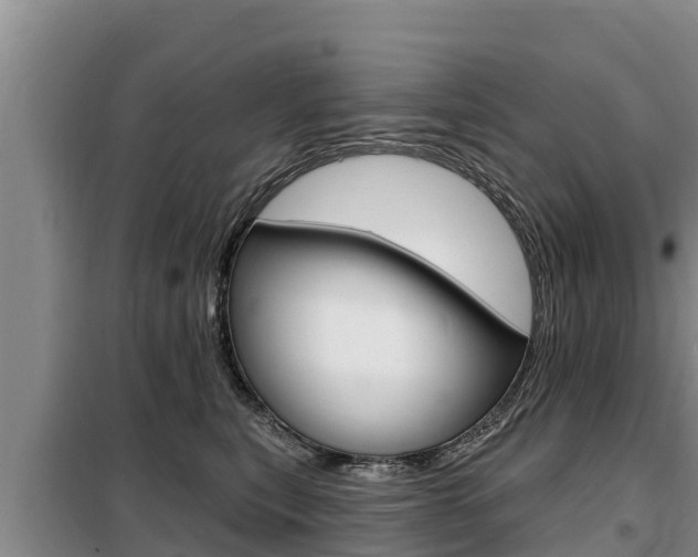 X0000099420567200805090754