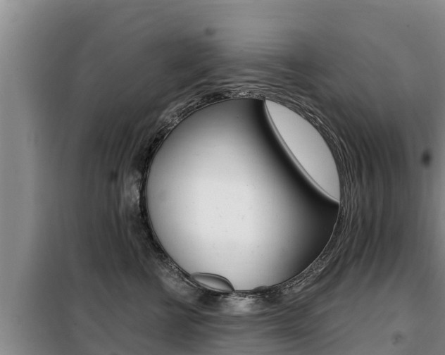 X0000099420570200805090754