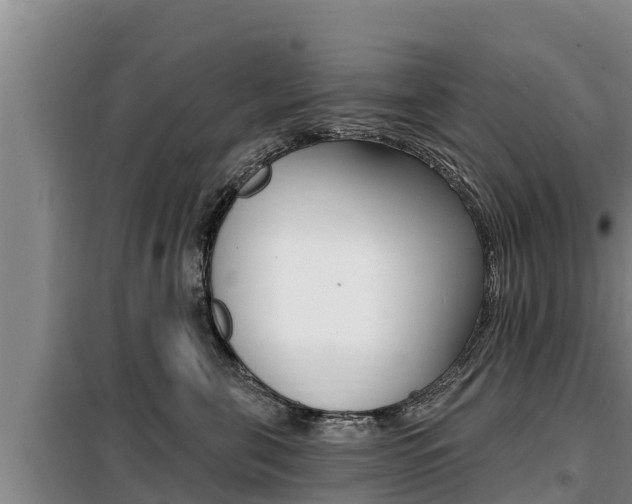 X0000099420571200805090754
