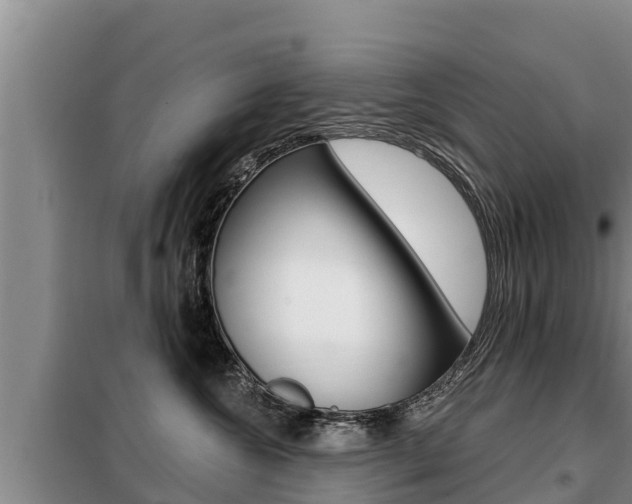 X0000099420572200805090754