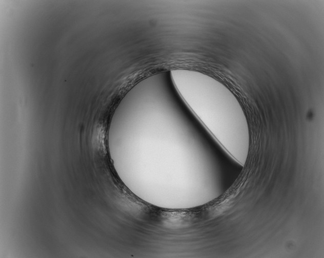 X0000099420575200805090754