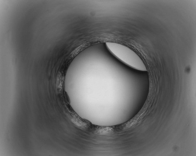 X0000099420576200805090754