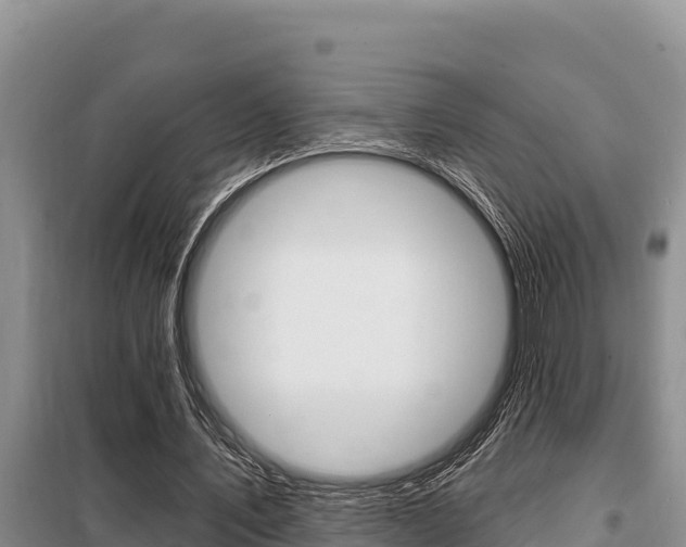 X0000099420579200805090753