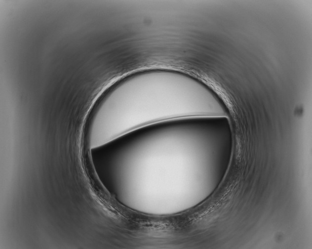 X0000099420580200805090753