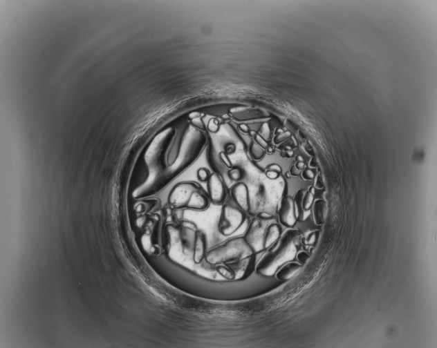 X0000099420581200805090753