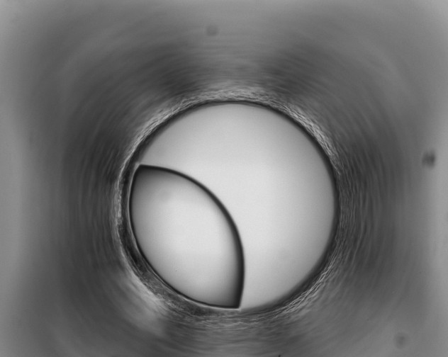 X0000099420582200805090753