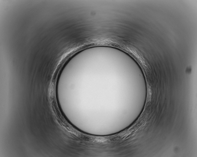 X0000099420583200805090753