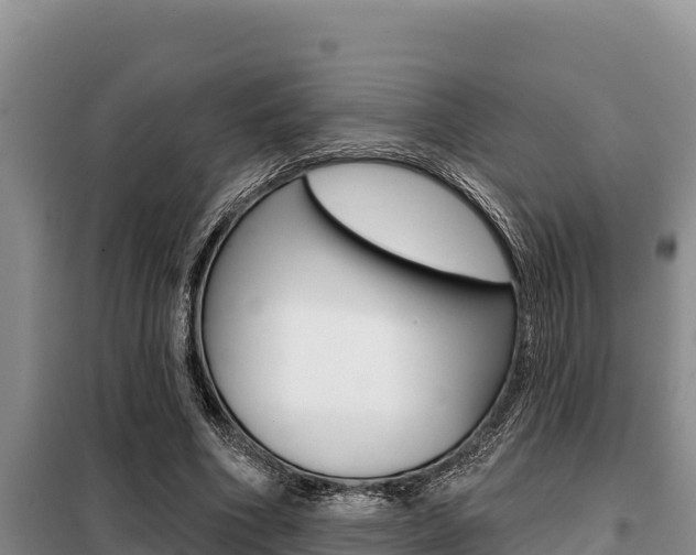 X0000099420586200805090753