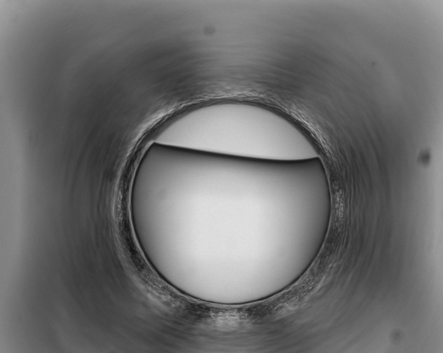 X0000099420587200805090753