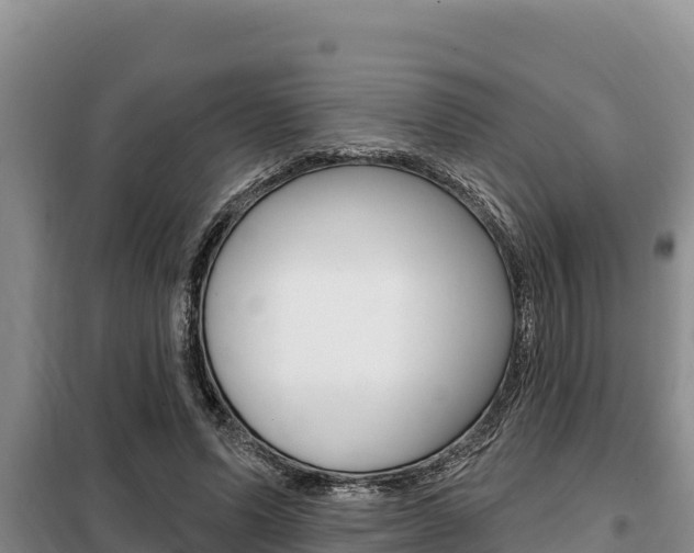 X0000099420591200805090753