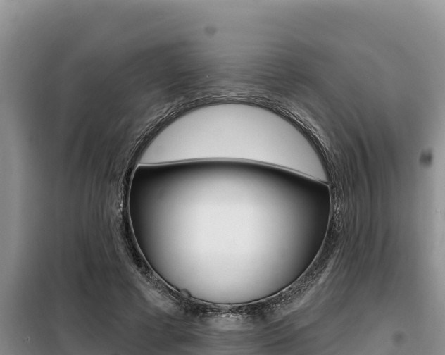 X0000099420593200805090753