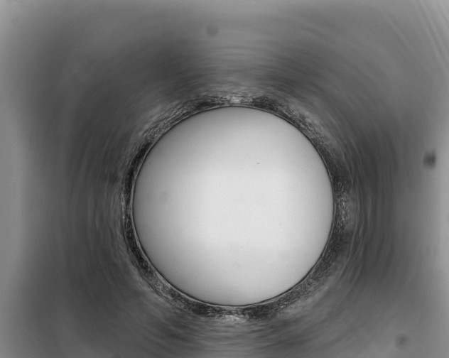 X0000099420594200805090753