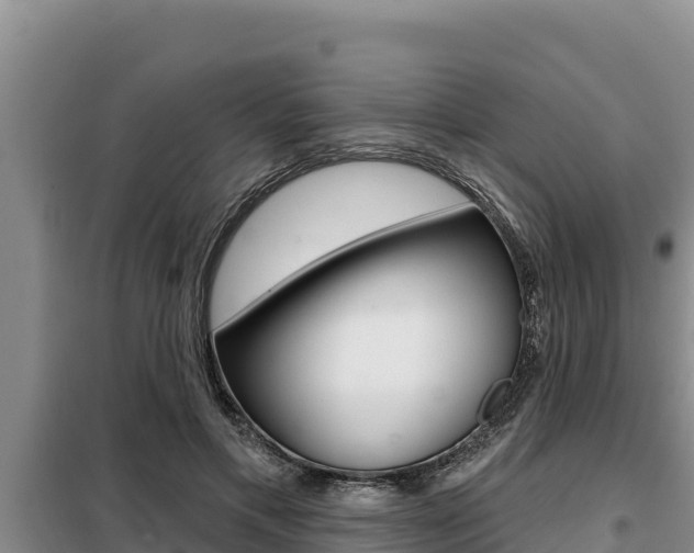 X0000099420597200805090753