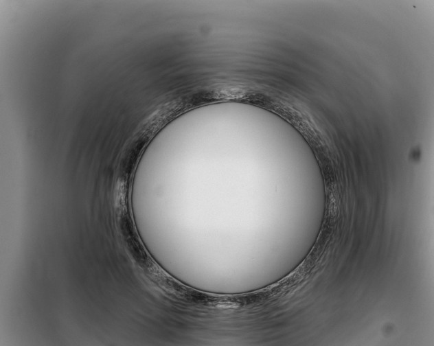 X0000099420598200805090753