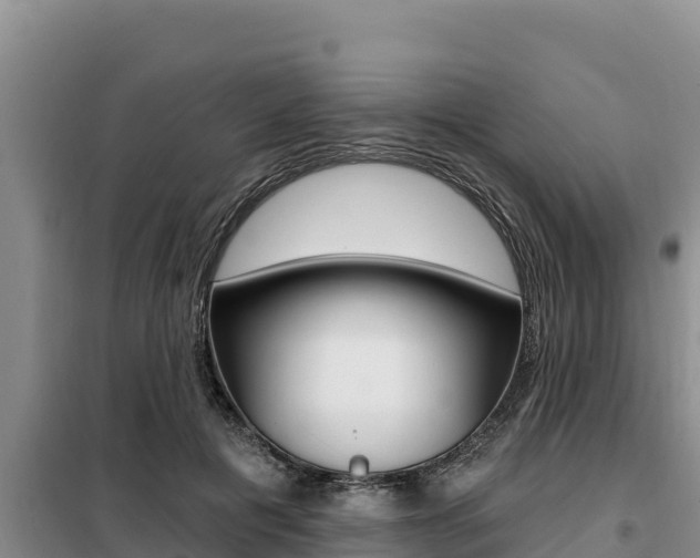 X0000099420601200805090752