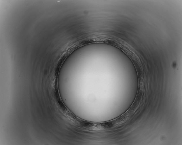 X0000099420604200805090752