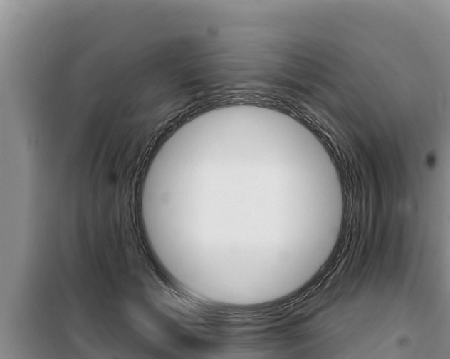X0000099420605200805090752