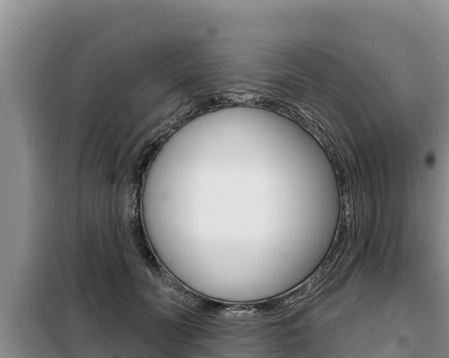 X0000099420606200805090752
