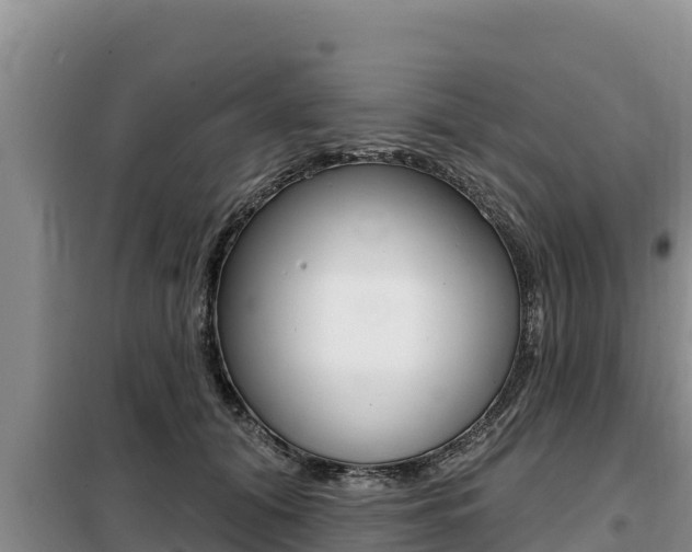 X0000099420608200805090752