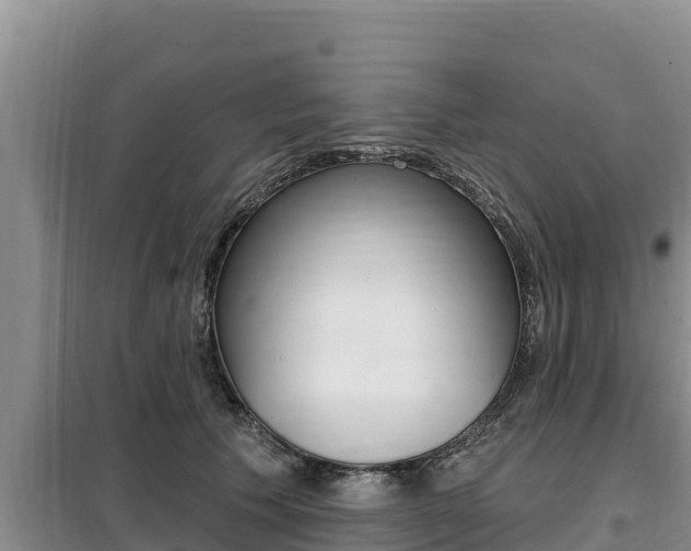 X0000099420609200805090752