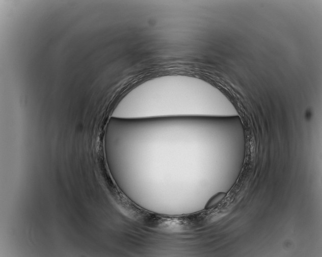 X0000099420611200805090752