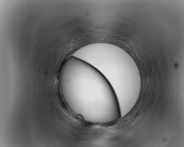 X0000099420614200805090752