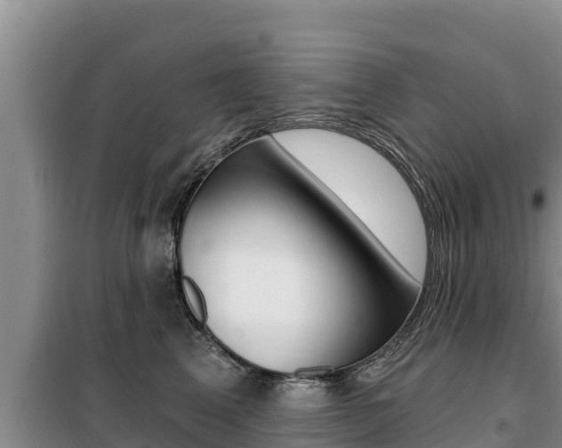 X0000099420617200805090752