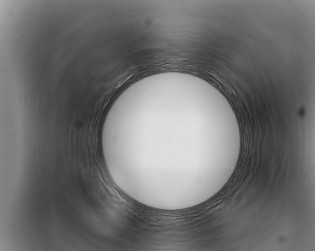X0000099420618200805090752