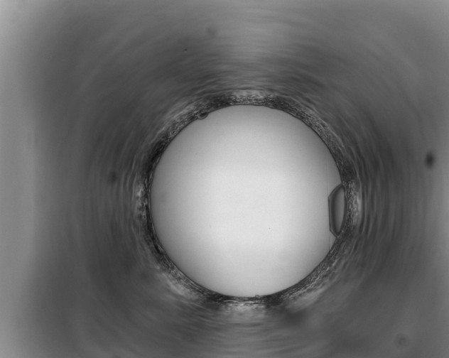 X0000099420619200805090752