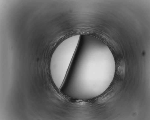 X0000099420620200805090752