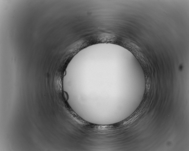 X0000099420622200805090752