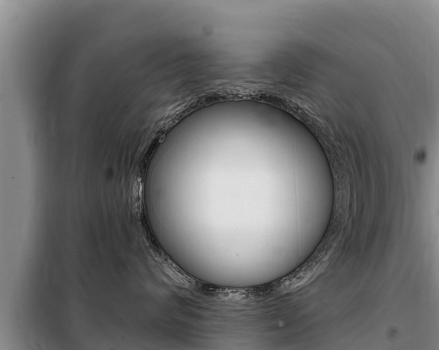 X0000099420624200805090752
